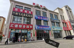 内蒙古自治区赤峰市林西县北方商贸物流区土地使用权其他