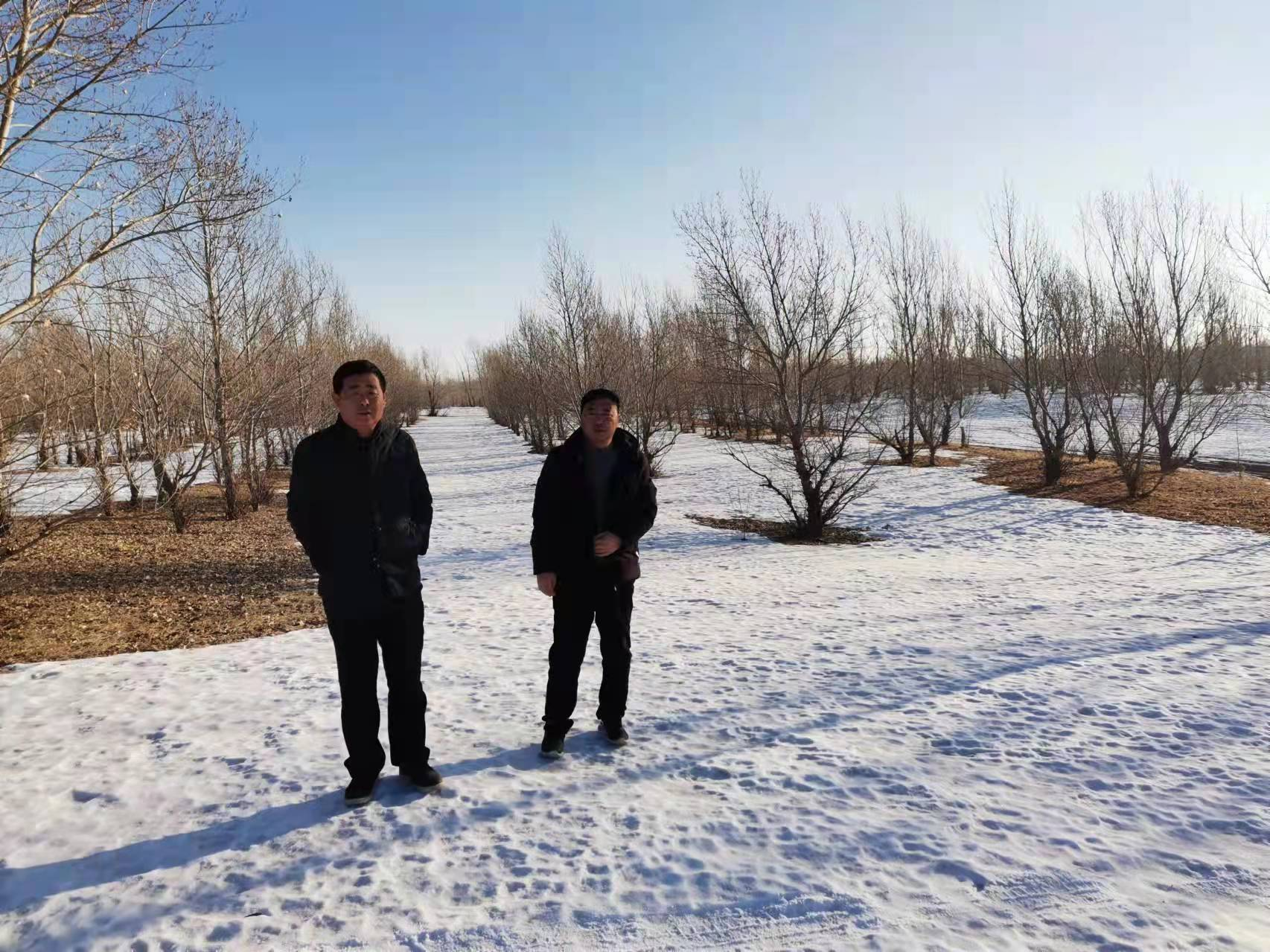 内蒙古通辽市奈曼旗明仁苏木乌兰艾勒嘎查委员会林地