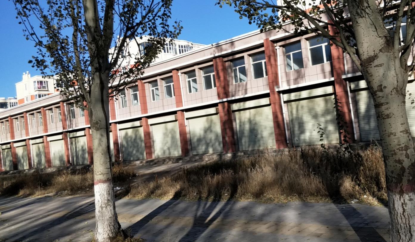 内蒙古自治区乌兰察布市丰镇市新城区浦江上海城46号楼上下连体由北向南19-28号房屋房产